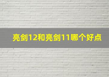 亮剑12和亮剑11哪个好点