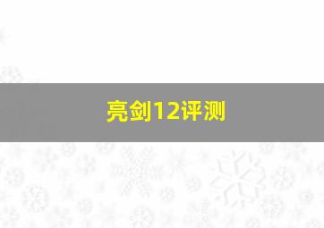 亮剑12评测