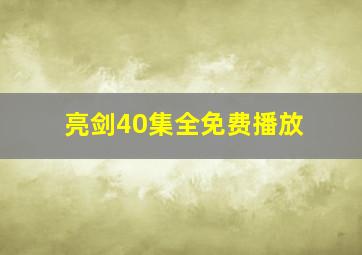 亮剑40集全免费播放