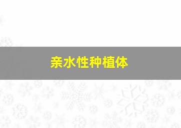 亲水性种植体