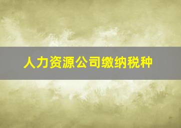 人力资源公司缴纳税种