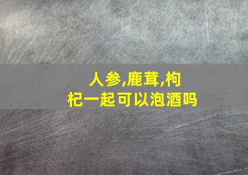 人参,鹿茸,枸杞一起可以泡酒吗