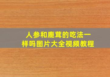 人参和鹿茸的吃法一样吗图片大全视频教程