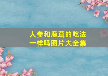 人参和鹿茸的吃法一样吗图片大全集