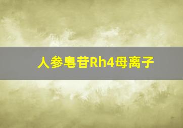 人参皂苷Rh4母离子