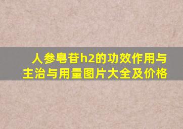 人参皂苷h2的功效作用与主治与用量图片大全及价格