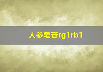 人参皂苷rg1rb1