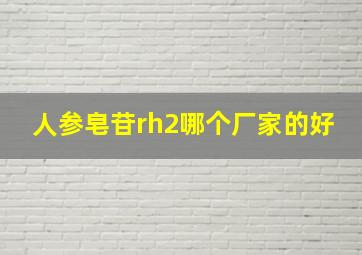 人参皂苷rh2哪个厂家的好