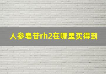 人参皂苷rh2在哪里买得到