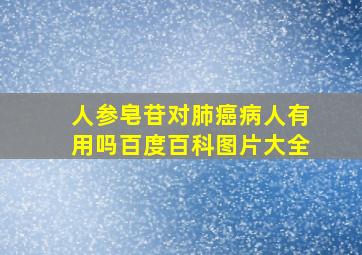 人参皂苷对肺癌病人有用吗百度百科图片大全