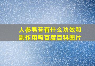 人参皂苷有什么功效和副作用吗百度百科图片