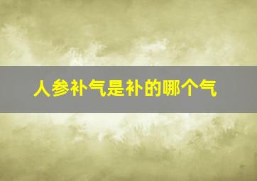 人参补气是补的哪个气