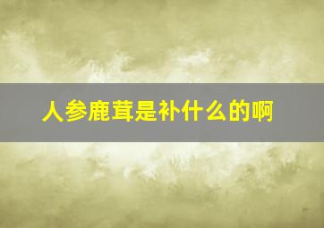 人参鹿茸是补什么的啊