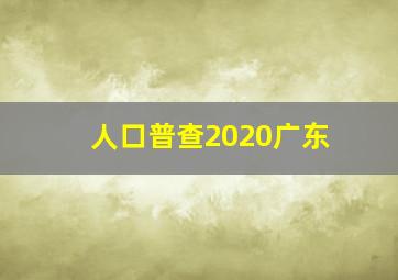 人口普查2020广东