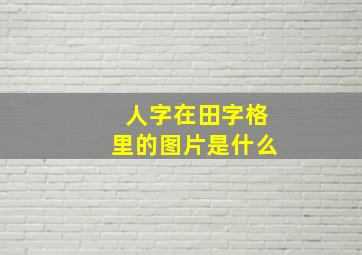 人字在田字格里的图片是什么