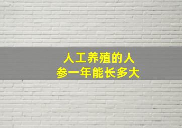 人工养殖的人参一年能长多大