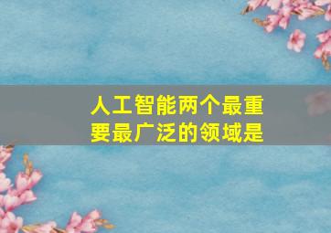 人工智能两个最重要最广泛的领域是