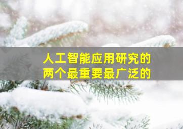 人工智能应用研究的两个最重要最广泛的