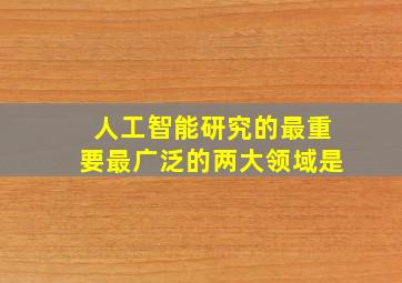 人工智能研究的最重要最广泛的两大领域是