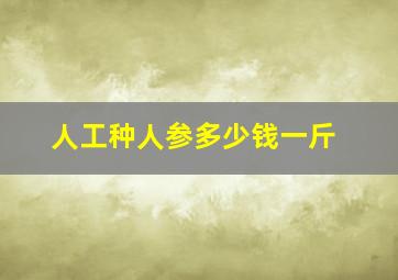 人工种人参多少钱一斤