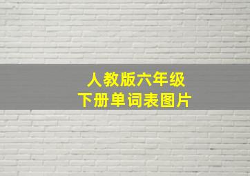 人教版六年级下册单词表图片