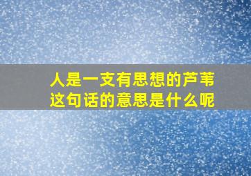 人是一支有思想的芦苇这句话的意思是什么呢