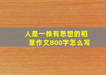 人是一株有思想的稻草作文800字怎么写