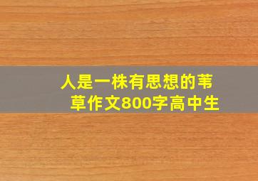 人是一株有思想的苇草作文800字高中生