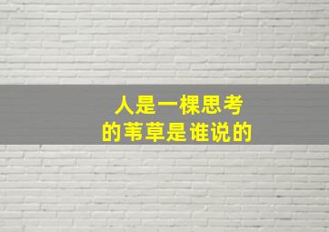 人是一棵思考的苇草是谁说的