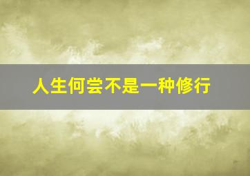 人生何尝不是一种修行