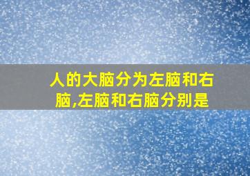 人的大脑分为左脑和右脑,左脑和右脑分别是