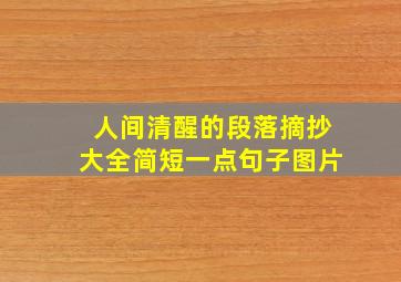 人间清醒的段落摘抄大全简短一点句子图片