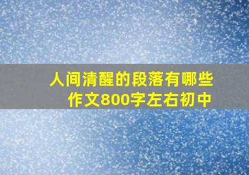 人间清醒的段落有哪些作文800字左右初中