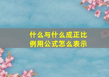 什么与什么成正比例用公式怎么表示