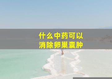 什么中药可以消除卵巢囊肿