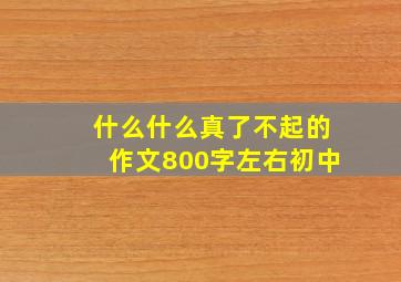 什么什么真了不起的作文800字左右初中