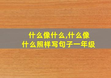 什么像什么,什么像什么照样写句子一年级