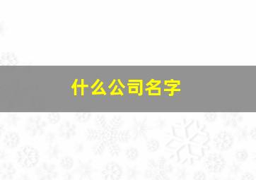 什么公司名字