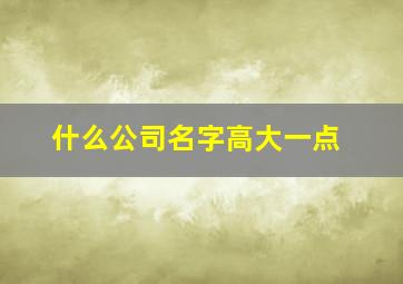 什么公司名字高大一点