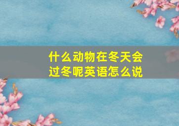 什么动物在冬天会过冬呢英语怎么说