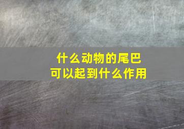 什么动物的尾巴可以起到什么作用