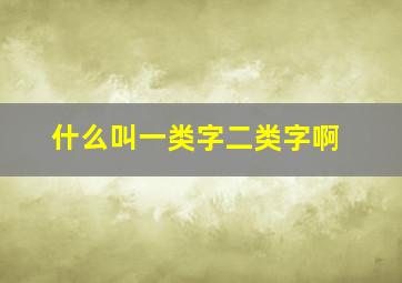 什么叫一类字二类字啊