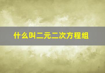 什么叫二元二次方程组