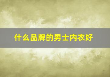 什么品牌的男士内衣好