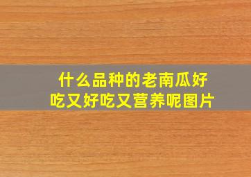 什么品种的老南瓜好吃又好吃又营养呢图片