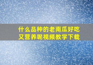 什么品种的老南瓜好吃又营养呢视频教学下载