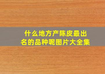 什么地方产陈皮最出名的品种呢图片大全集