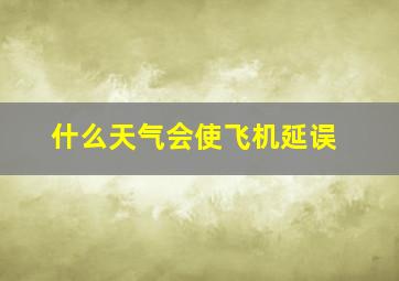 什么天气会使飞机延误