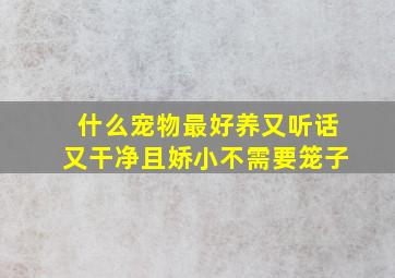 什么宠物最好养又听话又干净且娇小不需要笼子