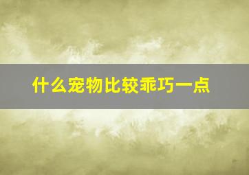 什么宠物比较乖巧一点